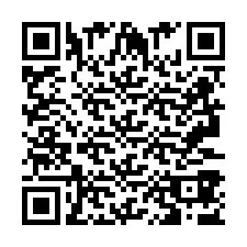 QR код за телефонен номер +2693387689