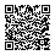 QR код за телефонен номер +2693387691