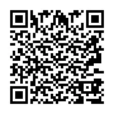 QR Code pour le numéro de téléphone +2693387700