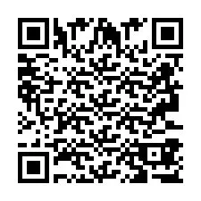 QR-код для номера телефона +2693387702