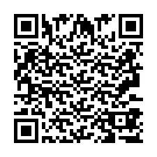 QR Code pour le numéro de téléphone +2693387711