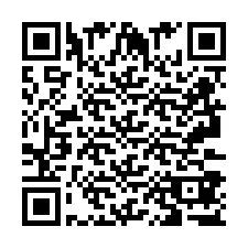 QR код за телефонен номер +2693387724