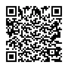 QR-код для номера телефона +2693387729