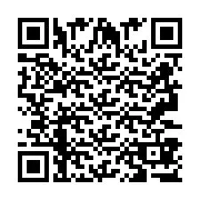 QR Code pour le numéro de téléphone +2693387759