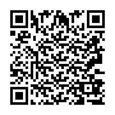 QR Code pour le numéro de téléphone +2693387771