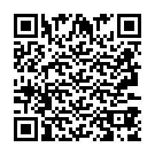 QR-code voor telefoonnummer +2693387804