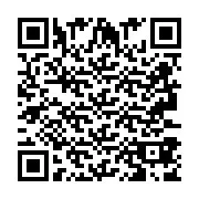 QR-code voor telefoonnummer +2693387816