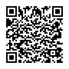 QR Code pour le numéro de téléphone +2693387824