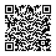 QR Code pour le numéro de téléphone +2693387829