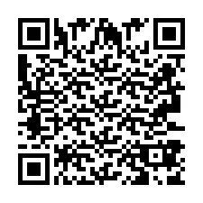 QR код за телефонен номер +2693387846