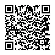 Codice QR per il numero di telefono +2693387862