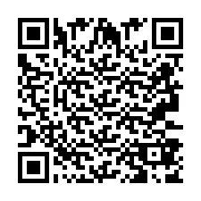 QR код за телефонен номер +2693387863