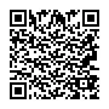 QR код за телефонен номер +2693387867