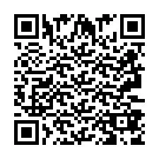 QR код за телефонен номер +2693387868