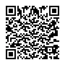 QR-code voor telefoonnummer +2693387900