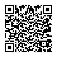 Codice QR per il numero di telefono +2693387908