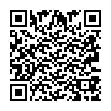 QR код за телефонен номер +2693387912