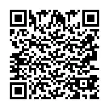 Codice QR per il numero di telefono +2693387916