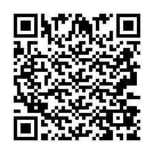 QR-code voor telefoonnummer +2693387975