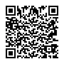 Código QR para número de teléfono +2693387986