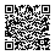 QR код за телефонен номер +2693387988