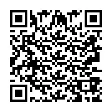 QR kód a telefonszámhoz +2693387994