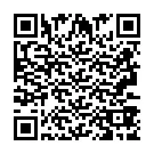 Codice QR per il numero di telefono +2693387995