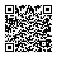 QR-Code für Telefonnummer +2693387996