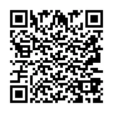 QR код за телефонен номер +2693387998