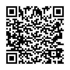 QR Code pour le numéro de téléphone +2693387999