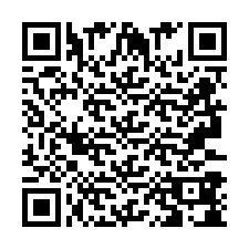 QR код за телефонен номер +2693388013