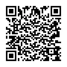 QR код за телефонен номер +2693388024