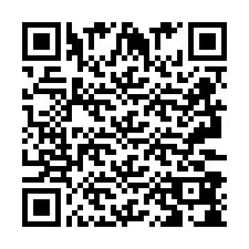 QR-Code für Telefonnummer +2693388038