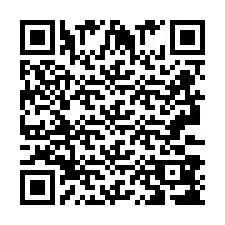 QR-код для номера телефона +2693388335