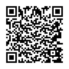 QR-код для номера телефона +2693388363