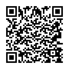 QR-код для номера телефона +2693388563