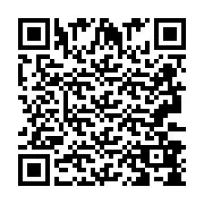 QR Code pour le numéro de téléphone +2693388575