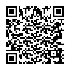 QR Code pour le numéro de téléphone +2693389169