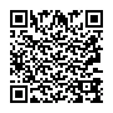 QR-код для номера телефона +2693389510