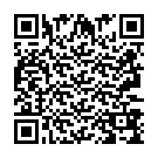 QR Code pour le numéro de téléphone +2693389558