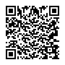 QR-код для номера телефона +2693389573