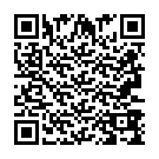 QR-Code für Telefonnummer +2693389597