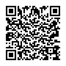 QR-Code für Telefonnummer +2693389614