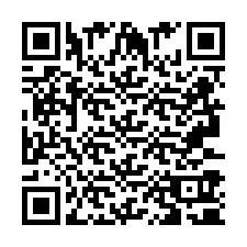 QR-code voor telefoonnummer +2693390113