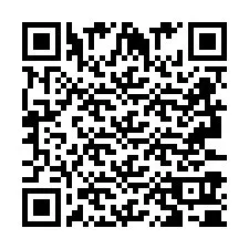 QR Code pour le numéro de téléphone +2693390516