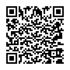 QR Code pour le numéro de téléphone +2693390684