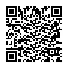 QR Code pour le numéro de téléphone +2693391816