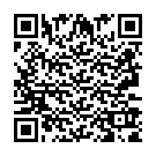 QR Code pour le numéro de téléphone +2693391864