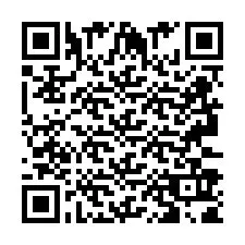 QR Code pour le numéro de téléphone +2693391872