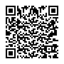 QR Code pour le numéro de téléphone +2693391904